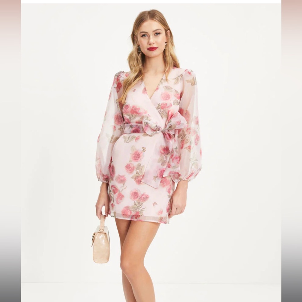 VICI *NWT* Unexpected Butterflies Floral Organza Mini Dress